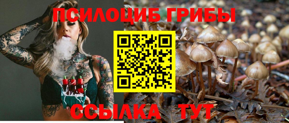 Галлюциногенные грибы мицелий Каменск-Шахтинский