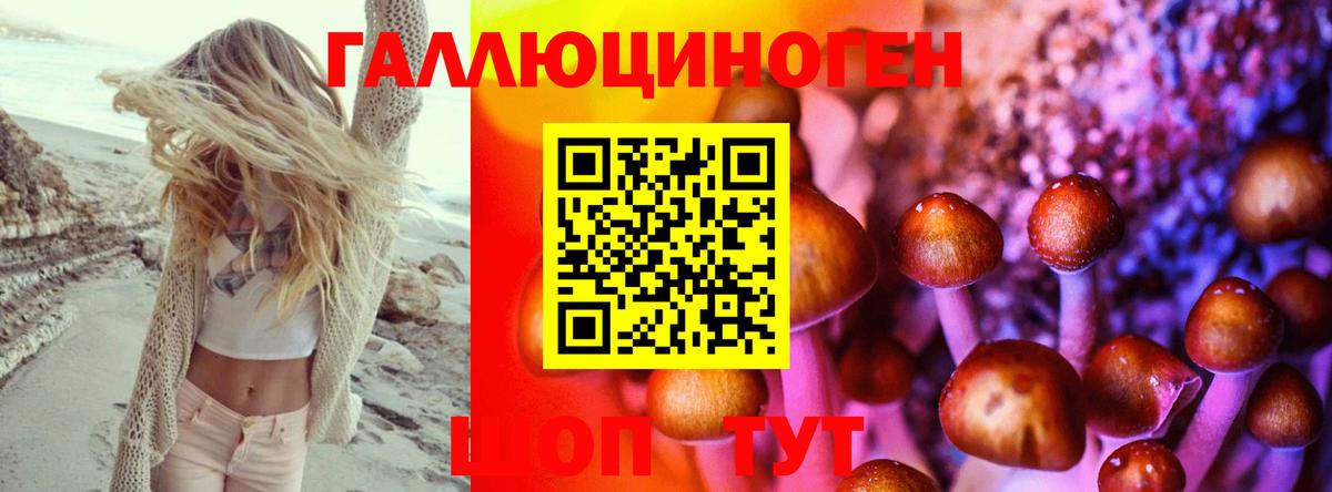 Каменск-Шахтинский  Галлюциногенные грибы прущие грибы  Вход с VPN  Галлюциногенные грибы прущие грибы 